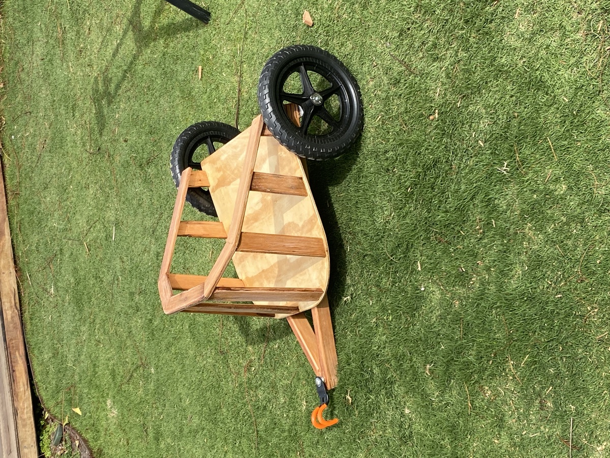 Child's Chariot photo 4